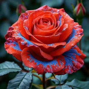 Роза Сикрет Гарден купить по цене от 619р. в интернет-магазине «Посадика» с доставкой почтой в в Вереяе и по всей России – [изображение №1].