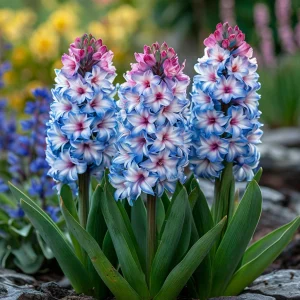 Гиацинт Пинк Мари купить по цене от 2099р. в интернет-магазине «Посадика» с доставкой почтой в в Вереяе и по всей России – [изображение №1].